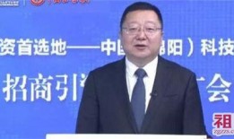 市长在线观看,共话城市发展新篇章