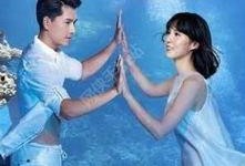 飞鱼高校生在线观看,青春激荡的校园竞技传奇