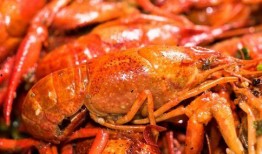 四川小龙虾爆料事件视频,视频揭露惊人真相