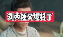 爆料娱乐圈刘大锤是谁,揭秘神秘爆料人身份之谜