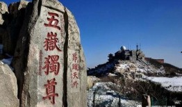 泰安景区爆料事件最新情况,最新进展揭秘，真相大白！