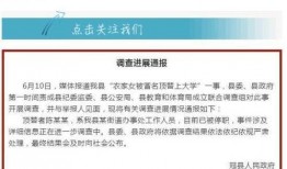 中国网热点爆料新闻最新,聚焦社会热点事件，揭秘背后真相