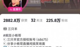 李静蕾被爆料了吗视频大全,真相与争议全解析