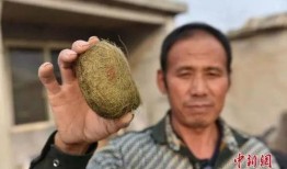 爆料毛蛋视频,揭秘网络红人幕后真相