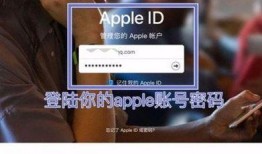 国际服爆料在哪看视频,视频生成攻略，轻松掌握视频制作技巧