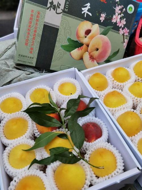 二连三的娱乐吃瓜